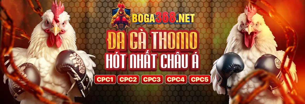 Các ưu điểm nổi bật của 66vn nhà cái